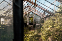 1_Greenhouse-fairytale