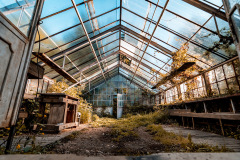 Gutenbuchels-greenhouse