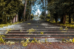 stairs-to-mansion