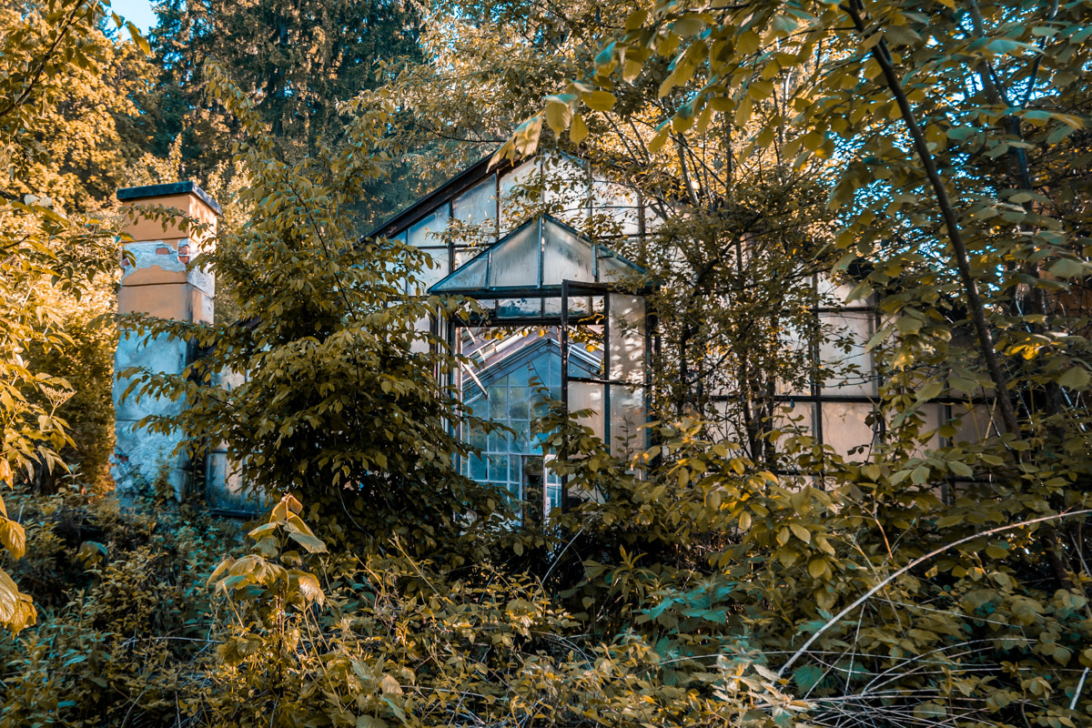 abandoned greenhouse