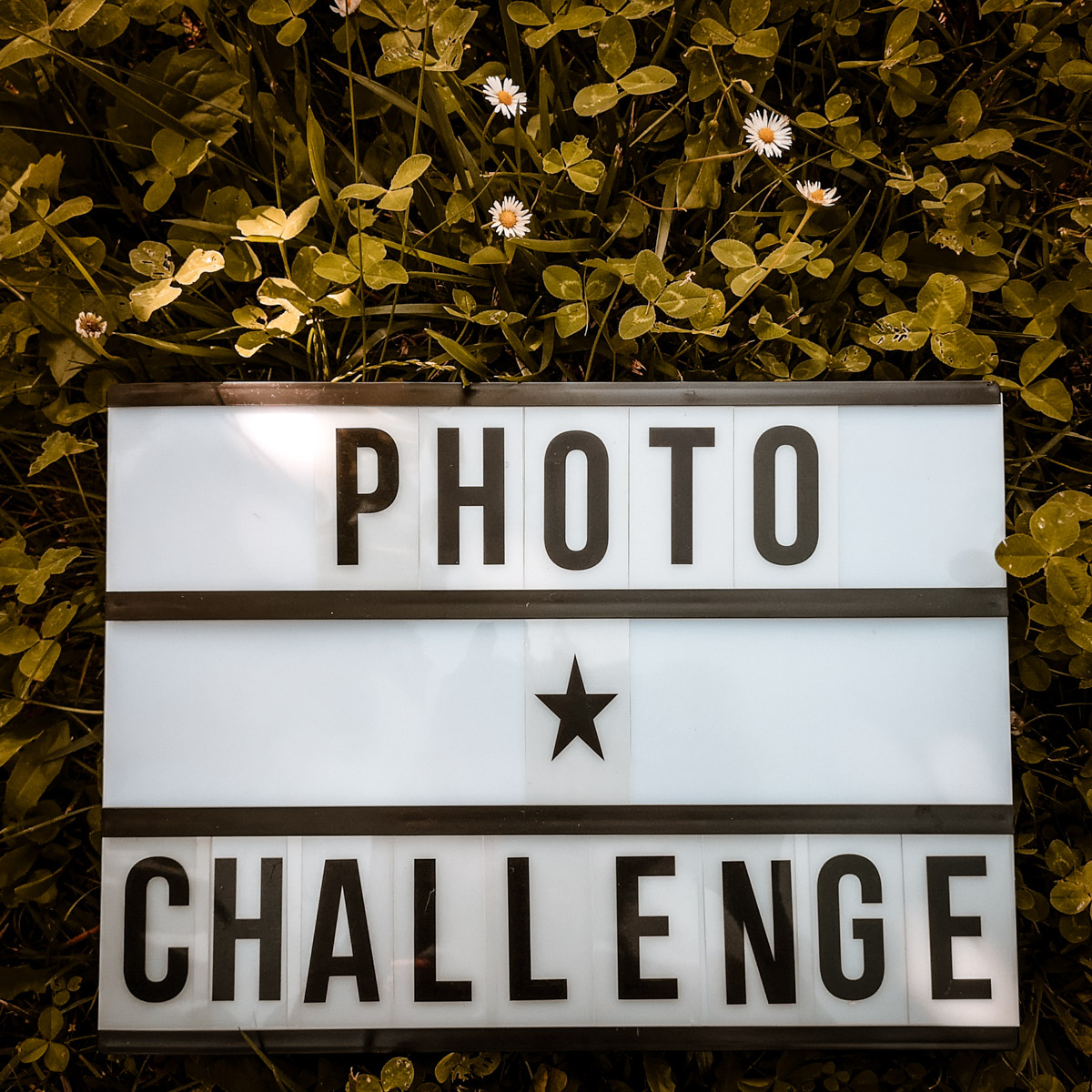 Photo challenge