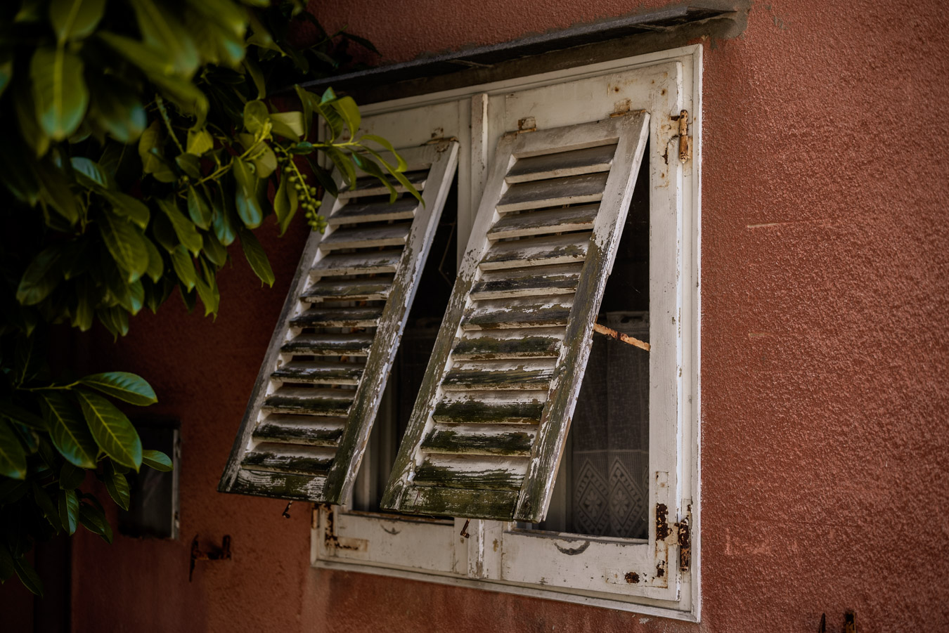 Old windows in Piran