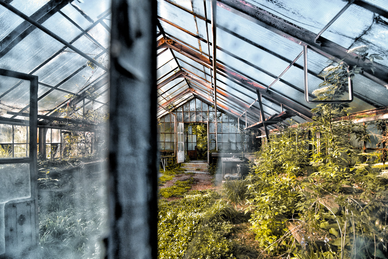 abandoned greenhouse, urbex discovery