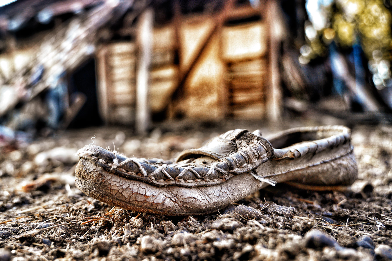 abandoned shoe