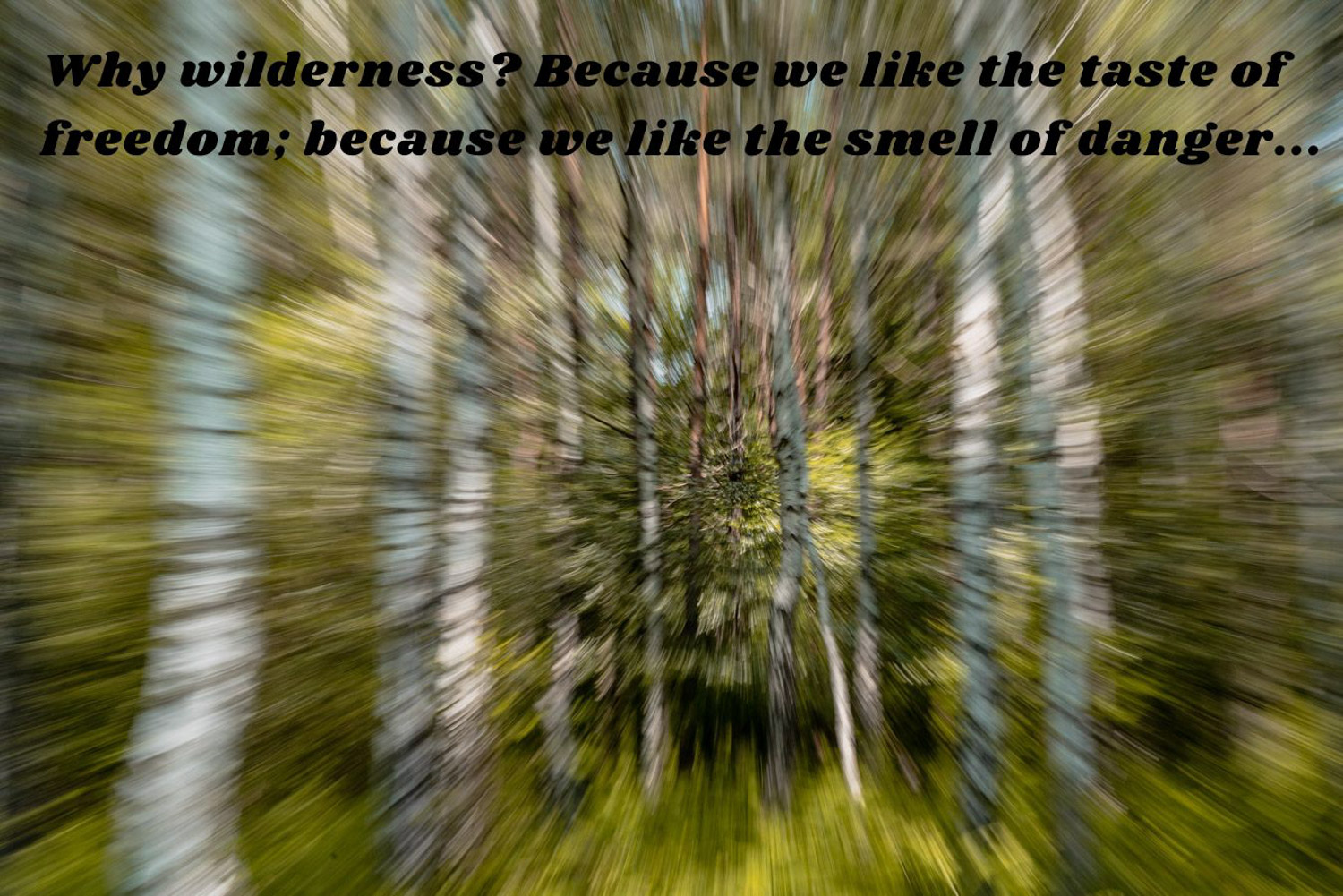 Wilderness quote