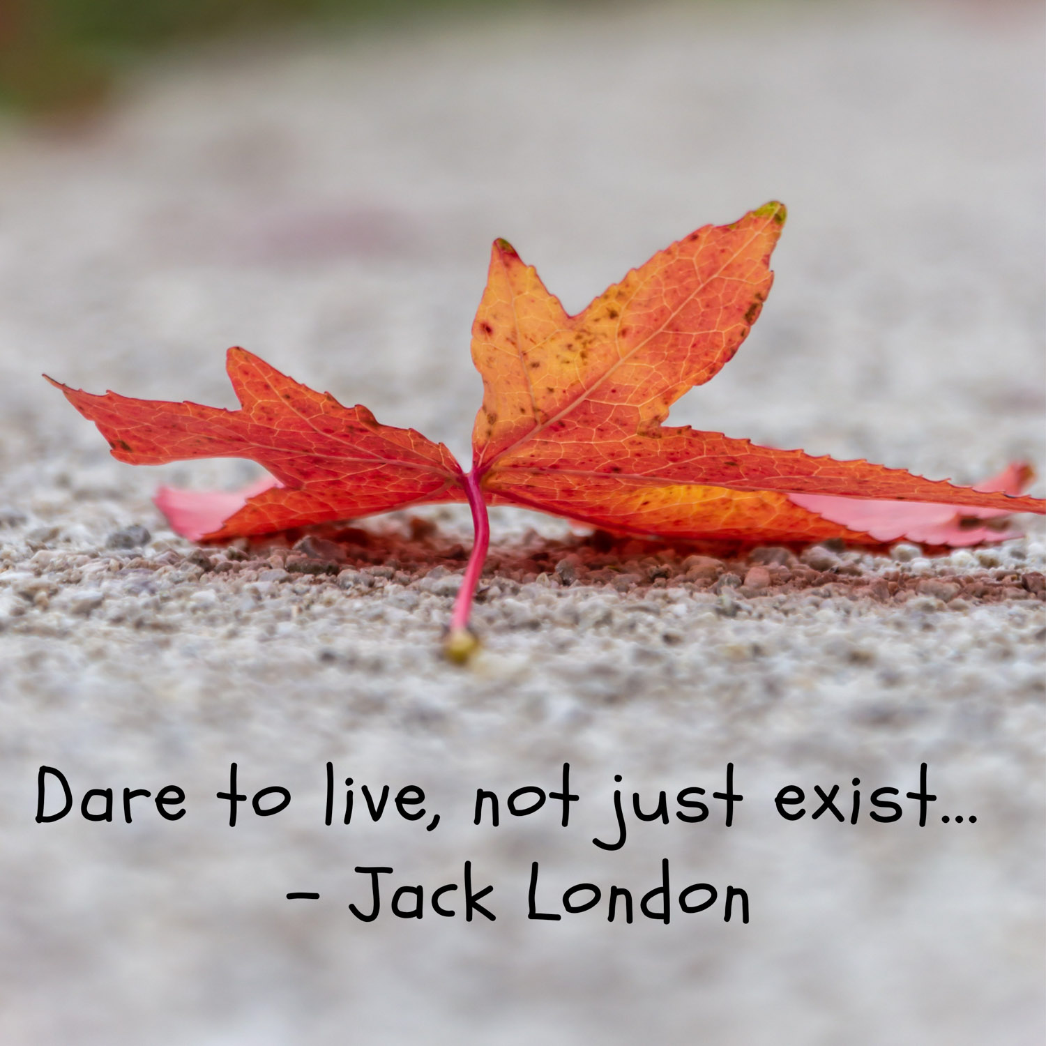 Dare to live, quote