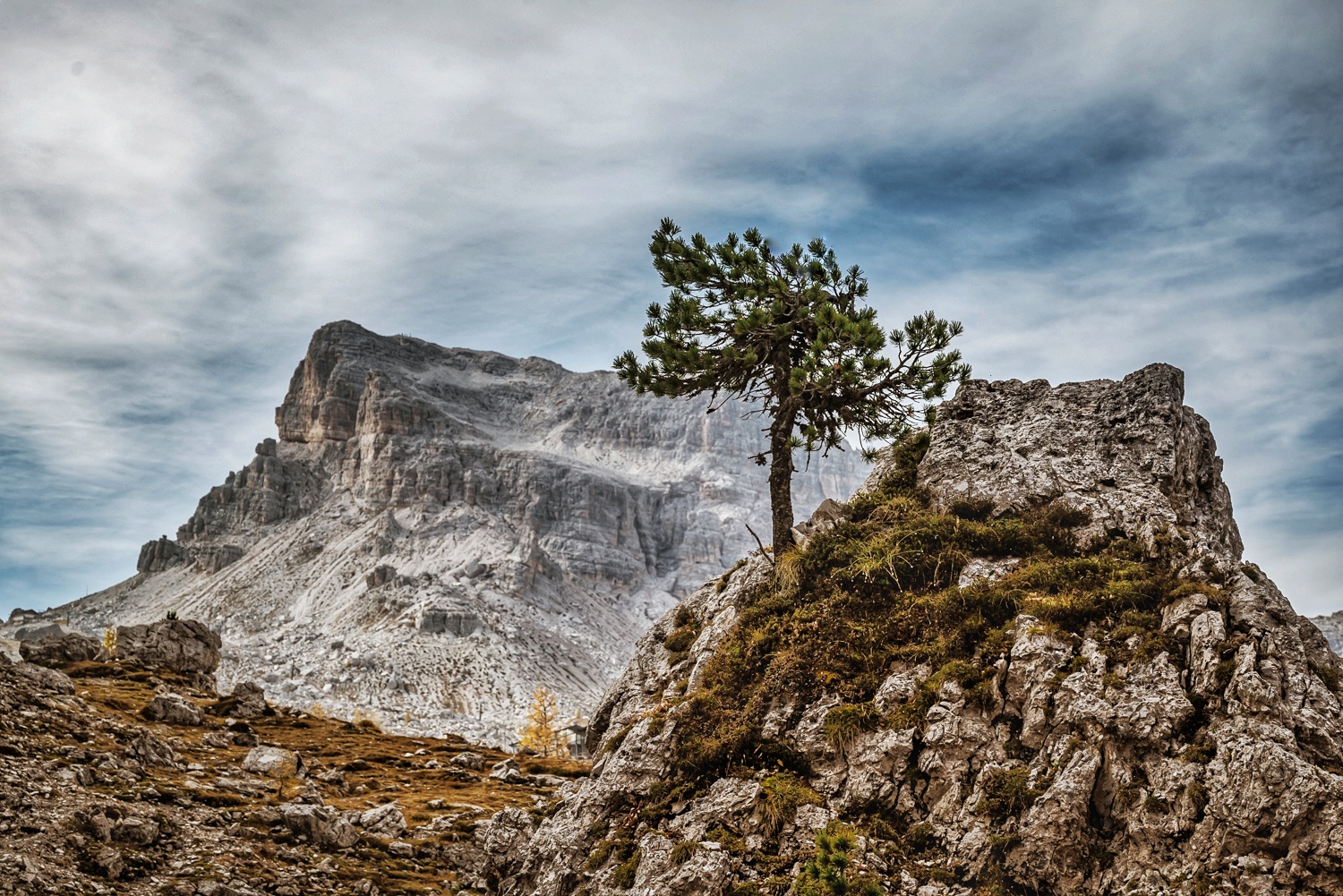 Lonely tree in Dolomites