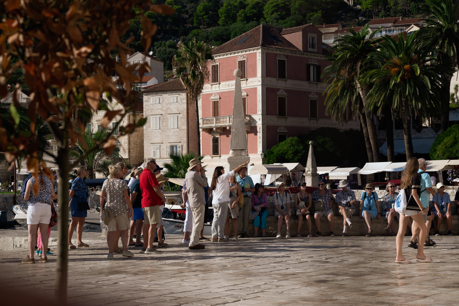 crowd of turists