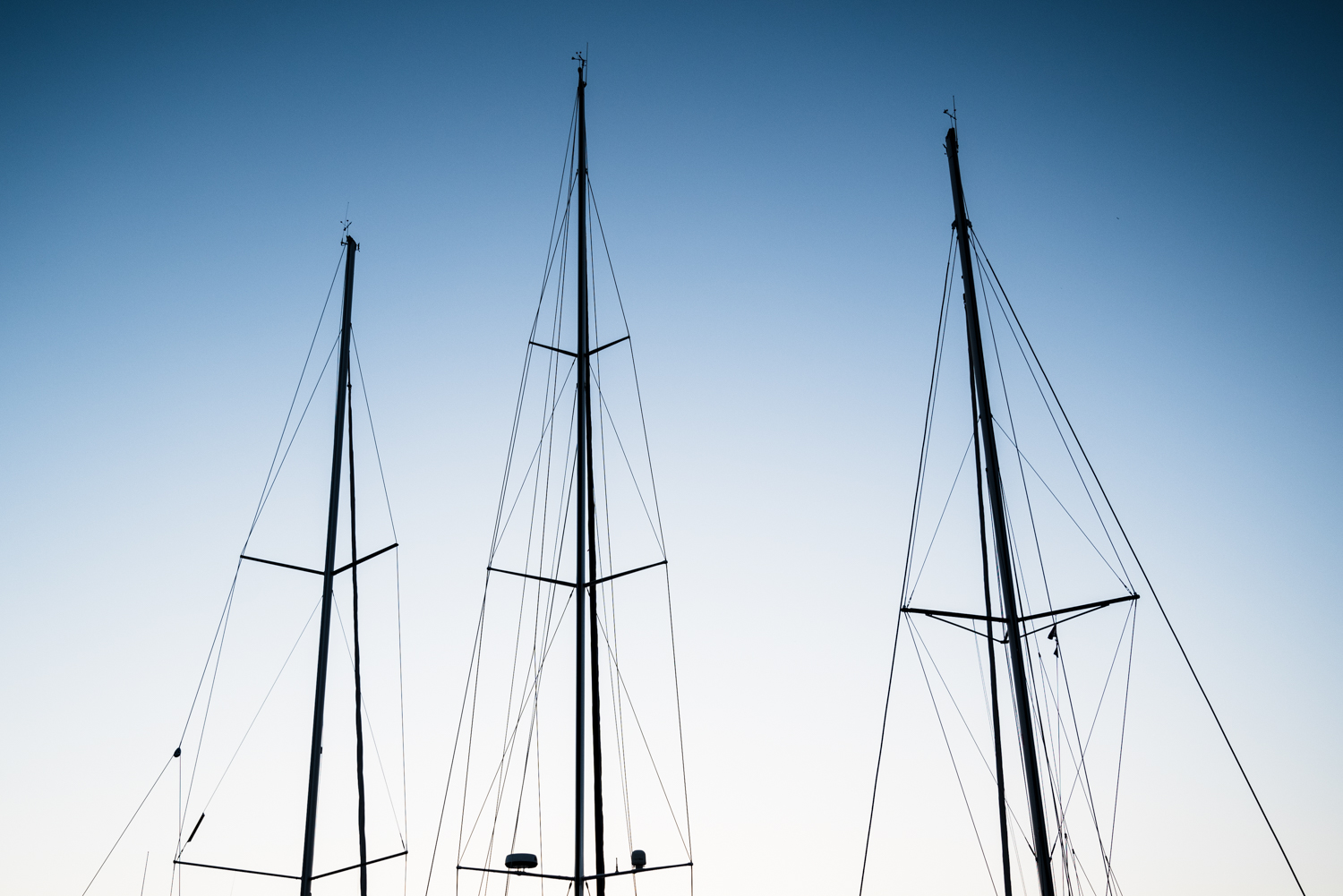 Three sailboats